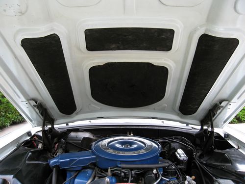 Engine Detail - Hood Open